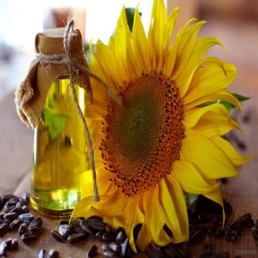 Organic Cold Pressed Sunflower Oil